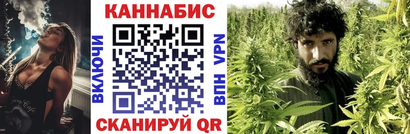 Шишки марихуана Amnesia Жердевка