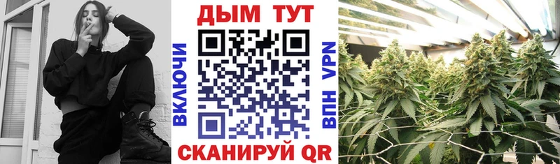 Бошки марихуана индика  где купить наркотик  Жердевка 